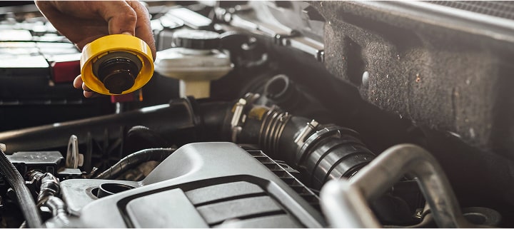 Замена масла и жидкости