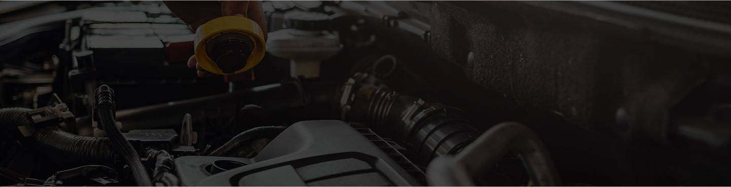 Замена масла и жидкости